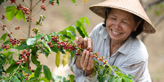 Cho vay nông nghiệp